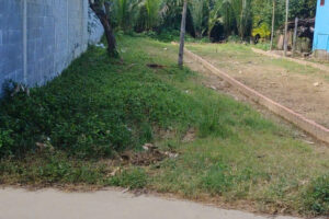 CẦN BÁN GẤP ĐẤT CẨM THANH – SÁT RỪNG DỪA – 202M2 – GIÁ 3.87 TỶ