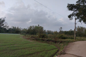 TÌM ĐÂU RA NHÀ MỚI – 100M2 TẠI ĐIỆN BÀN MÀ GIÁ CHỈ 1.3 TỶ?